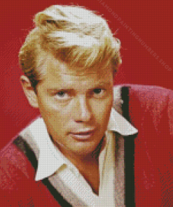 Troy Donahue Diamond Painting