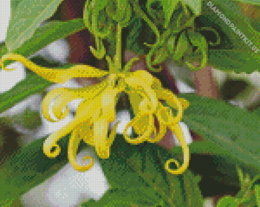 Ylang Ylang Diamond Painting