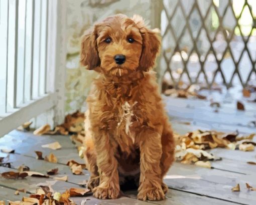 Brown Labradoodle Puppy Dog Diamond Painting