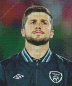 Shane Long Diamond Painting