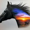 Stallion Horse Diamond Paintings