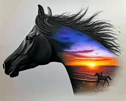 Stallion Horse Diamond Paintings