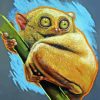 Tarsier Art Diamond Painting