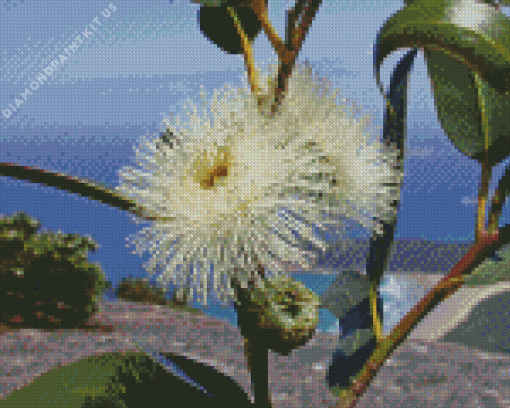 Tasmanian Blue Gum Plant Diamond Painting