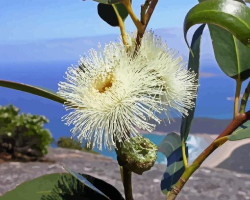 Tasmanian Blue Gum Plant Diamond Painting