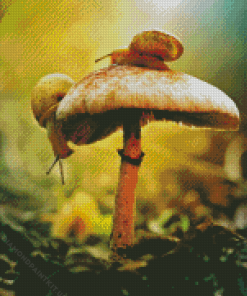 Mushroom and Snail Diamond Painting