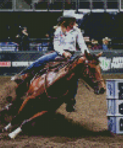 Barrel Racer Diamond Paintings