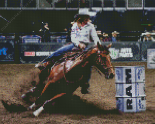 Barrel Racer Diamond Paintings