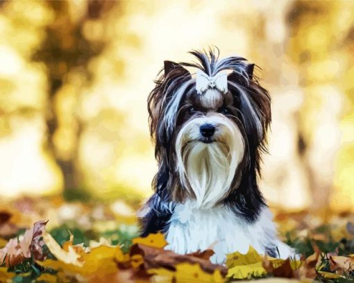 Biewer Terrier Diamond Paintings