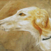 Borzoi Dog Diamond Painting