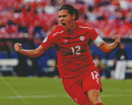 Christine Sinclair Diamond Paintings