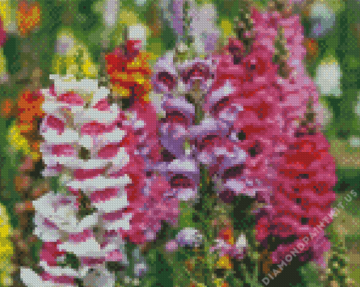 Colorful Snapdragons Diamond Painting