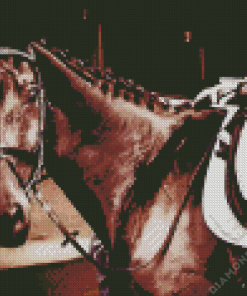 Dressage Horse Diamond Painting