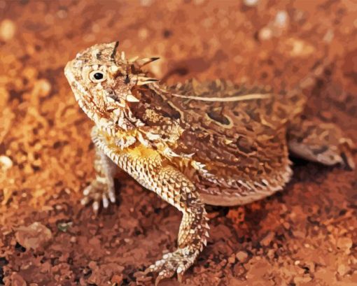 Horned Frog Diamond Paintings