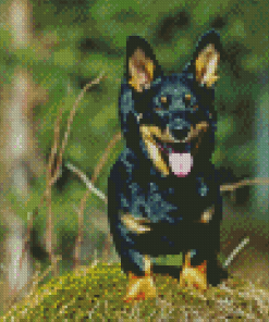 Lancashire Heeler Diamond Paintings