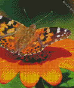 Painted Lady Butterfly Insect Diamond Painting