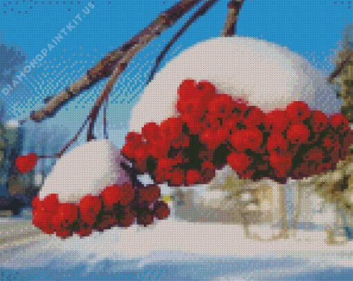 Red Berries In Winter Diamond Painting