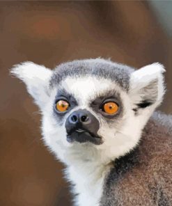 Ring Tailed Lemur Face Diamond Painting
