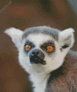 Ring Tailed Lemur Face Diamond Painting