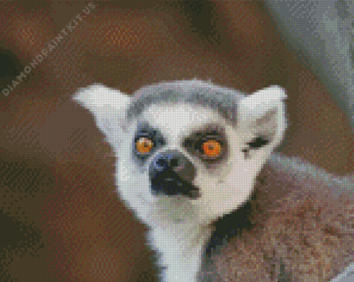 Ring Tailed Lemur Face Diamond Painting