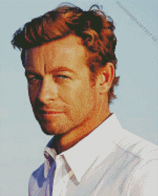 Simon Baker Diamond Paintings