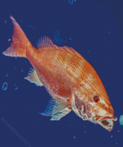 Snapper Fish Diamond Paintings