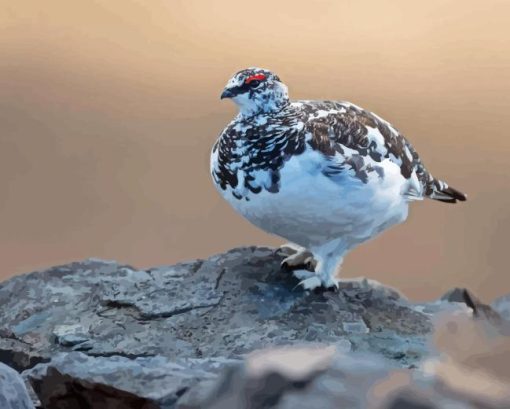 Willow Ptarmigan Diamond Paintings