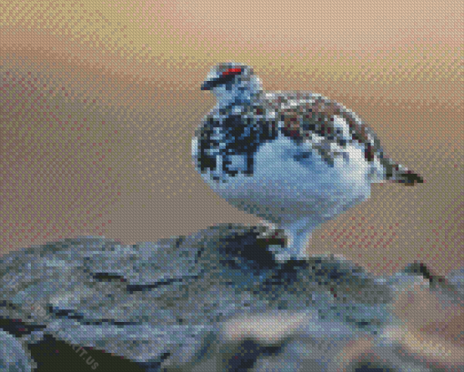 Willow Ptarmigan Diamond Paintings