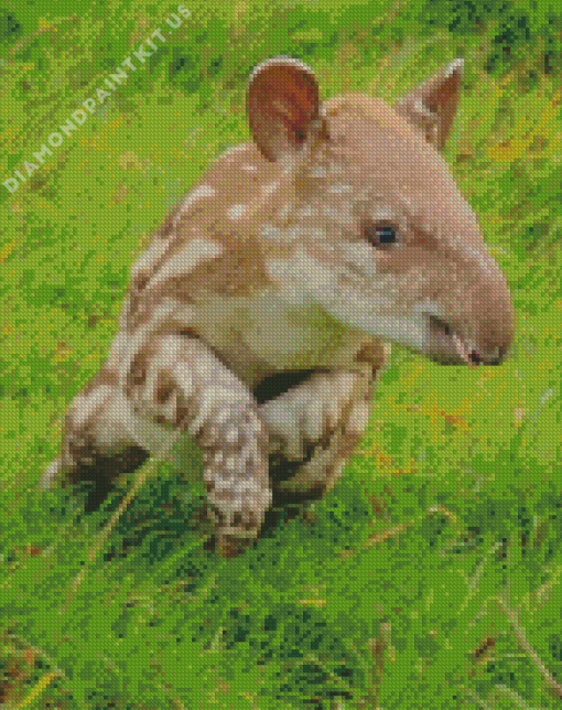 Baby Tapir Diamond Painting