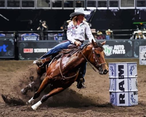 Barrel Racer Diamond Paintings