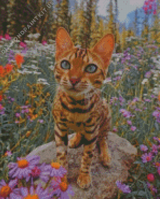 Cat and Flowers Diamond Painting