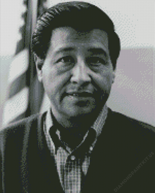 Cesar Chavez Diamond Paintings