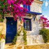 Floral Greek Door Diamond Painting