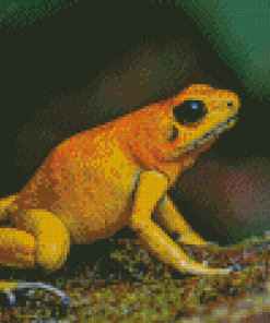 Golden Poison Frog Diamond Paintings