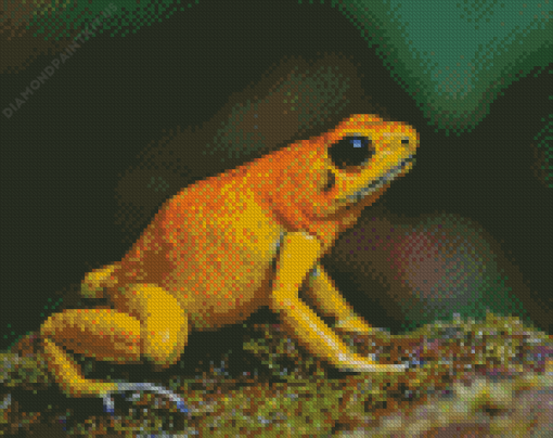 Golden Poison Frog Diamond Paintings