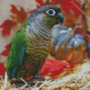 Green Cheek Conure Parakeet Bird Diamond Painting