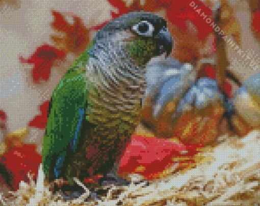Green Cheek Conure Parakeet Bird Diamond Painting