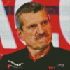 Guenther Steiner Diamond Paintings