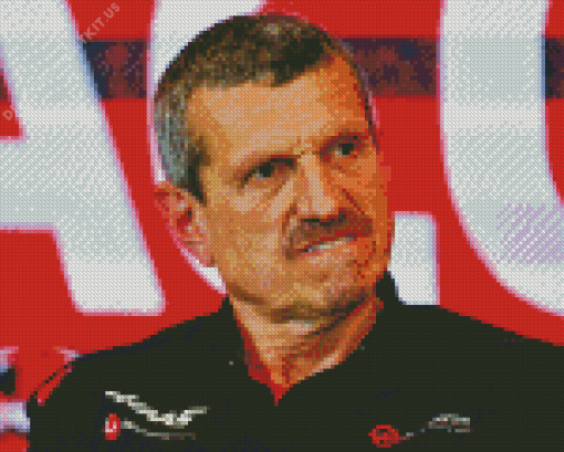 Guenther Steiner Diamond Paintings