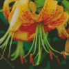 Orange Yellow Flower Diamond Painting