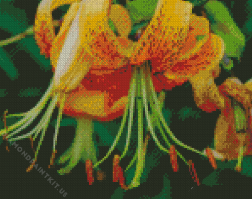 Orange Yellow Flower Diamond Painting