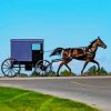 Amish Horse and Buggy Diamond Painting