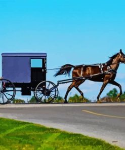 Amish Horse and Buggy Diamond Painting