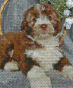 Aussiedoodle Miniature Diamond Painting