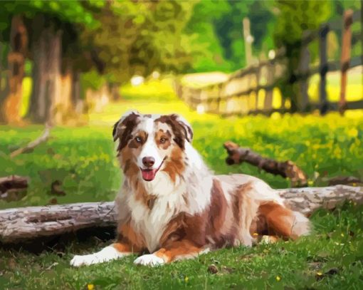 Australian Shepherd Dog Diamond Painting