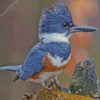 Belted Kingfisher Diamond Painting