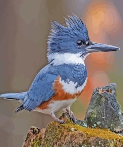 Belted Kingfisher Diamond Painting