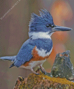 Belted Kingfisher Diamond Painting