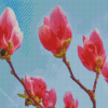 Blooming Magnolia Diamond Painting