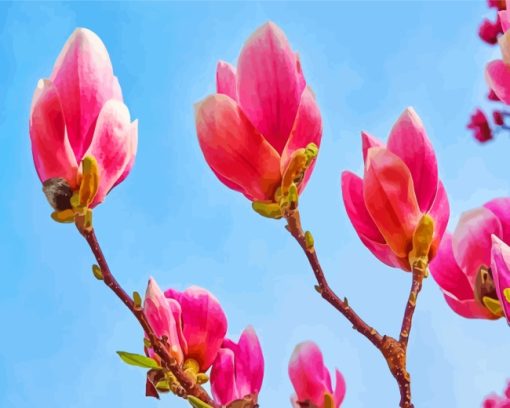 Blooming Magnolia Diamond Painting